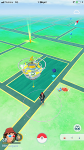 The world as viewed from Pokémon Go